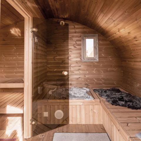 SaunaLife G11 Garden Series Outdoor Sauna Suite — Up to 8 People